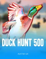 Duck Hunt 500