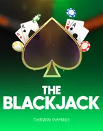 The BlackJack