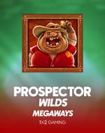 Prospector Wilds Megaways